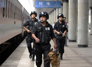 警犬护卫